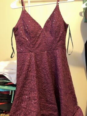 Sequined Lace Fit & Flare Dress in Wine